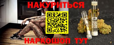 spice Гатчина