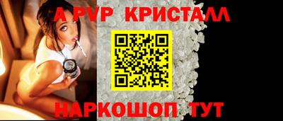 spice Гатчина